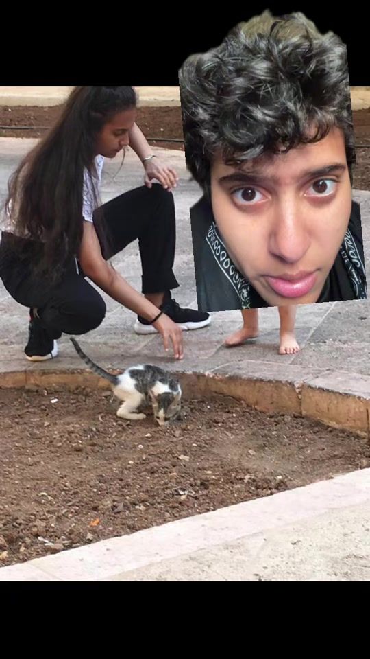 TikTok video thumbnail by 23.3335