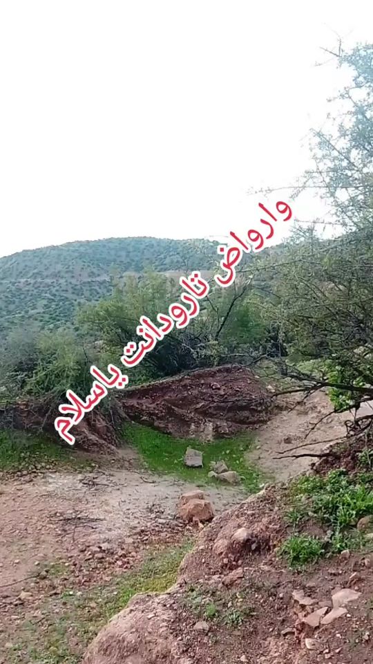 TikTok video thumbnail by mhdi_wac