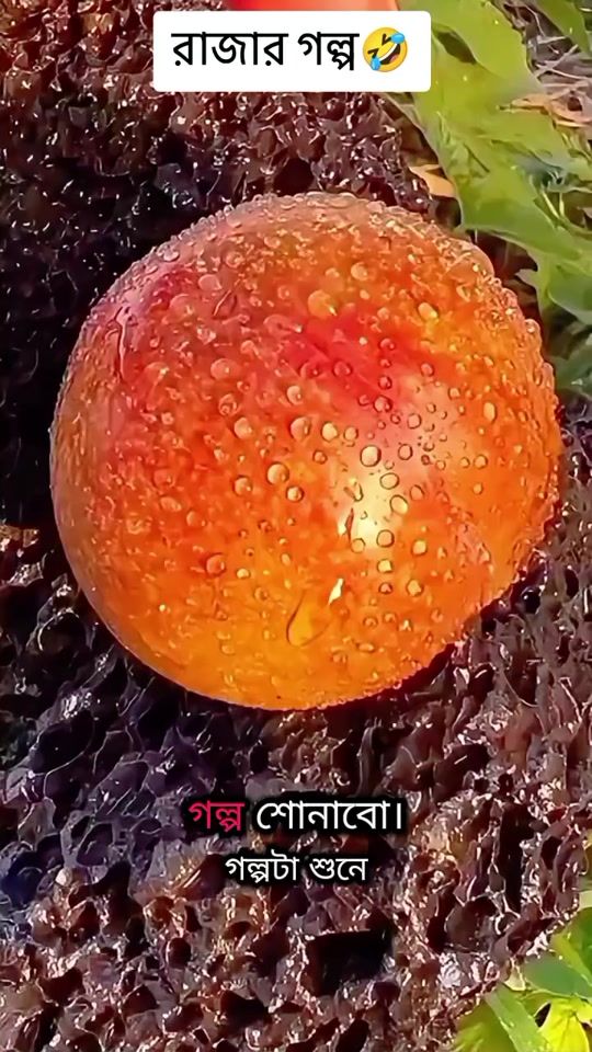 TikTok video thumbnail by sa.saiful.azom