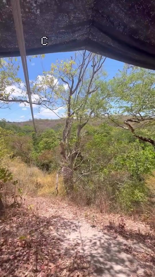 TikTok video thumbnail by pjrg.90
