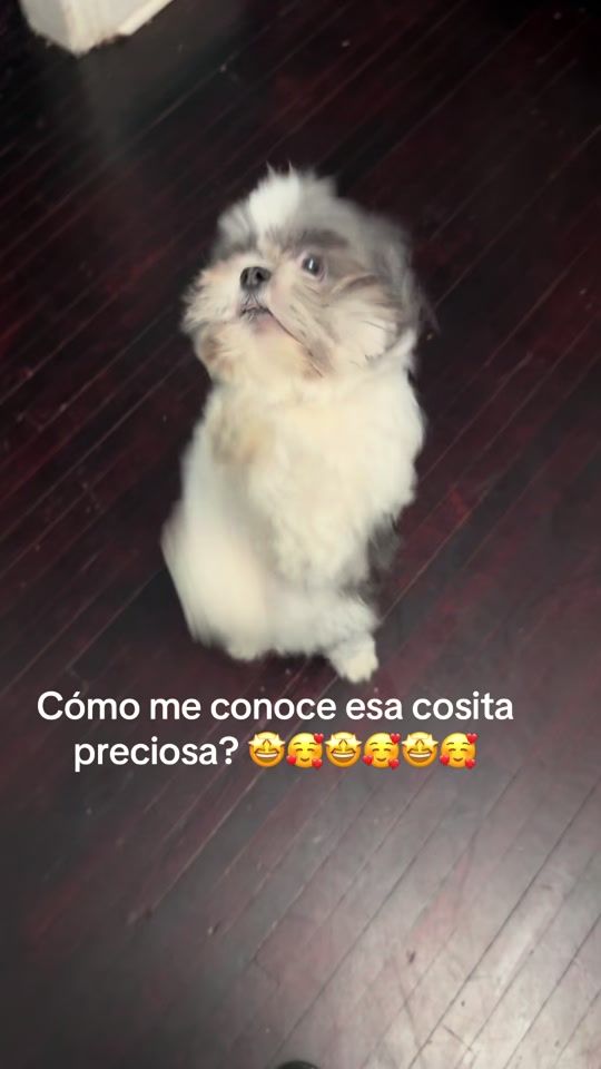 TikTok video thumbnail by 345yesi