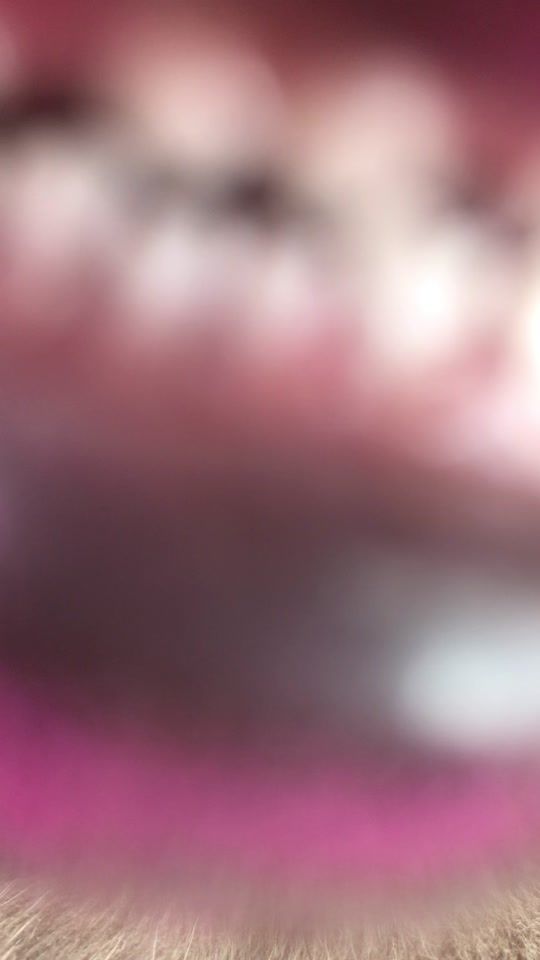 TikTok video thumbnail by user7624929240452