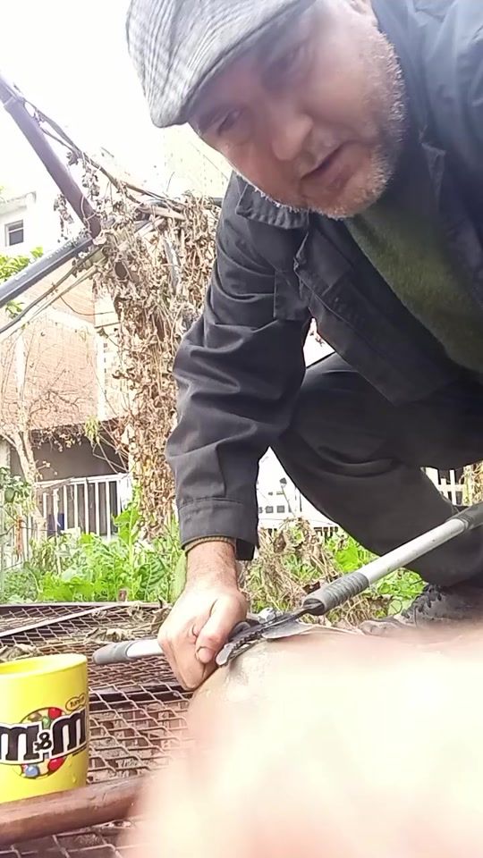 TikTok video thumbnail by nabil_akbou1