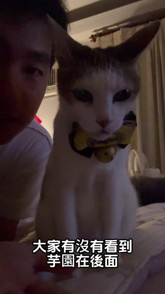 TikTok video thumbnail by r_show0501