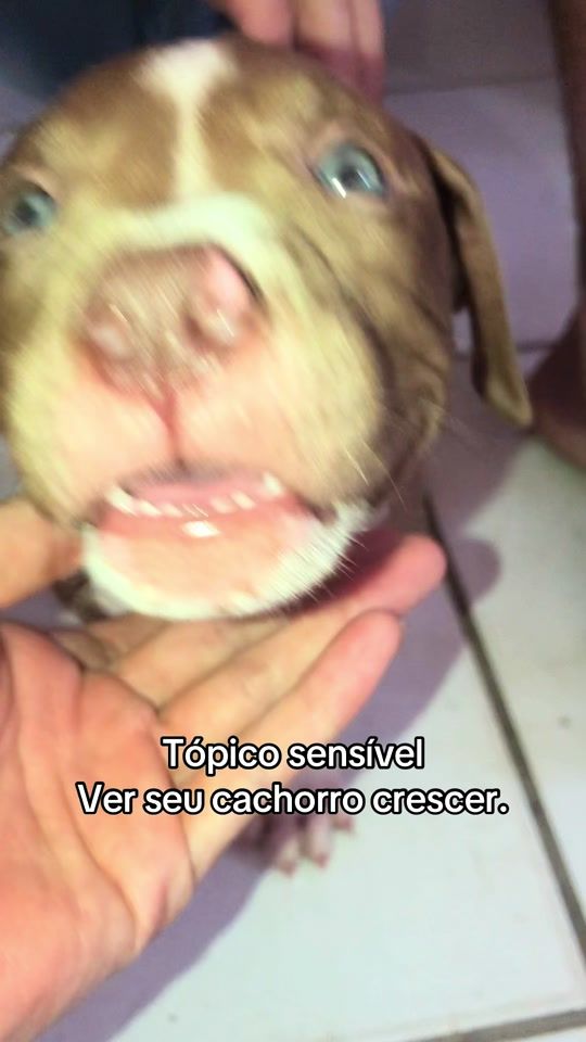 TikTok video thumbnail by scott_pitmonster