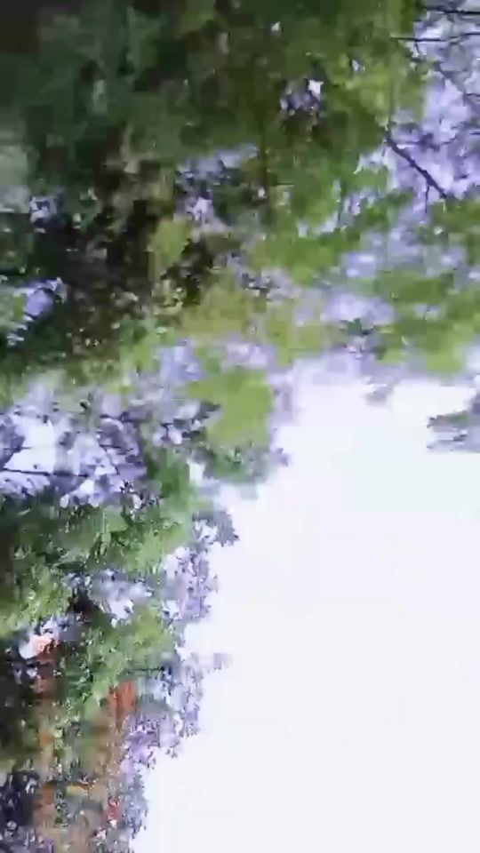 TikTok video thumbnail by delowar555666