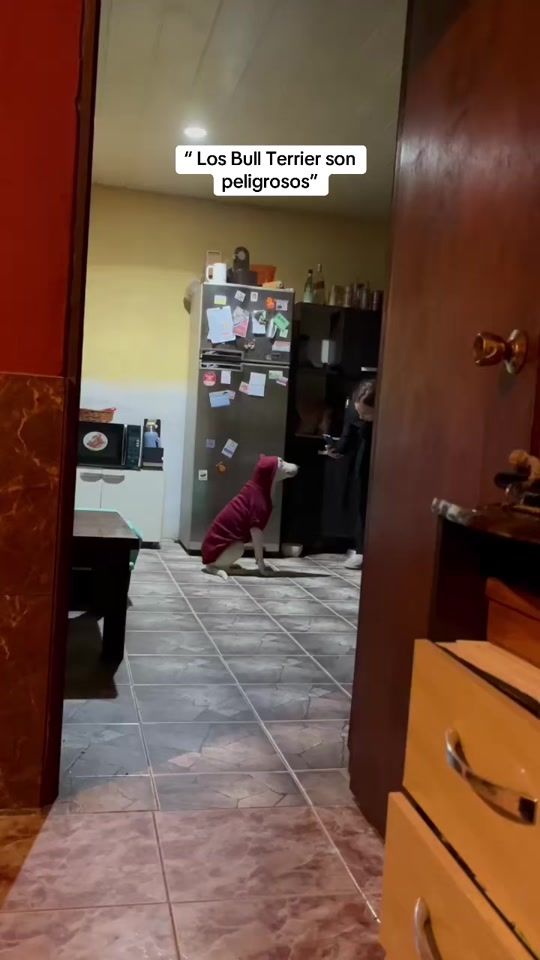 TikTok video thumbnail by florouiller