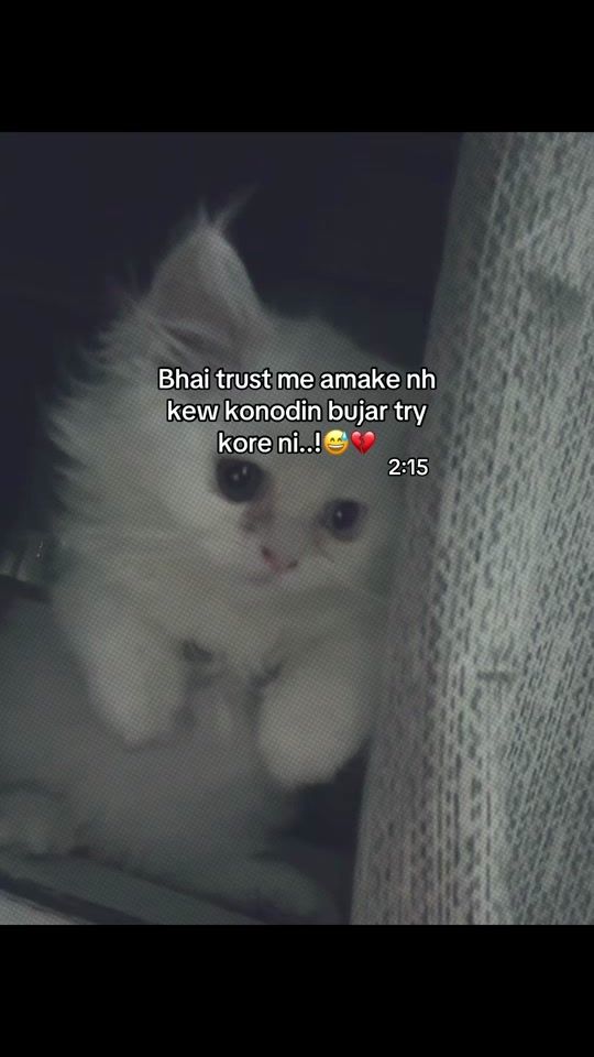 TikTok video thumbnail by safa_12345