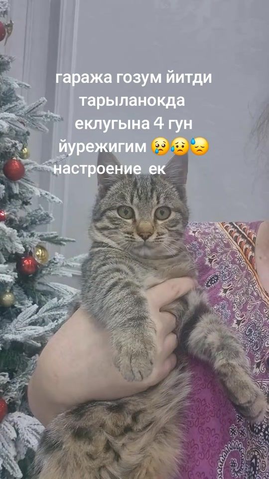 TikTok video thumbnail by charyyevnaa