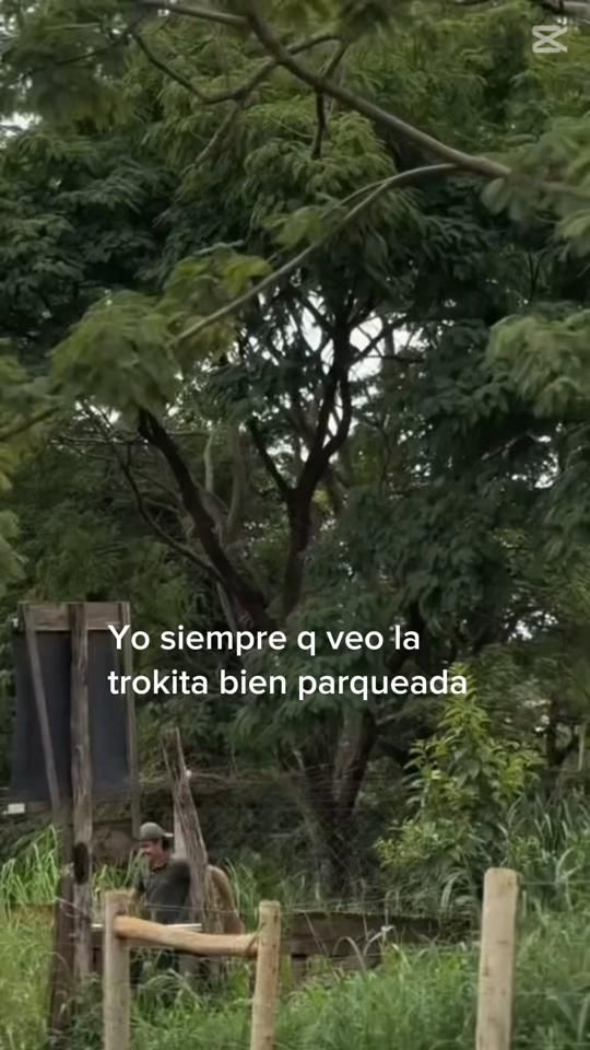 TikTok video thumbnail by jenigodoy18