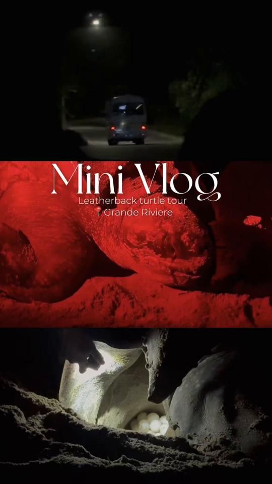 TikTok video thumbnail by azaria0019