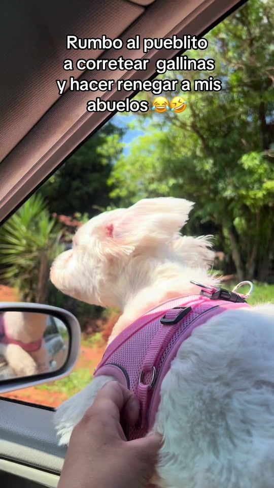 TikTok video thumbnail by arita_mendez