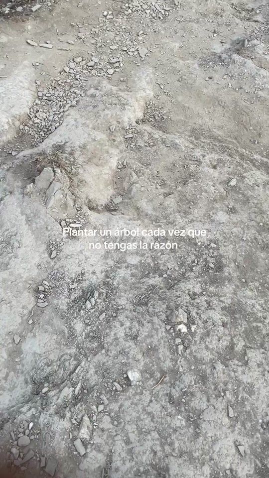 TikTok video thumbnail by dabid_luiiiiis