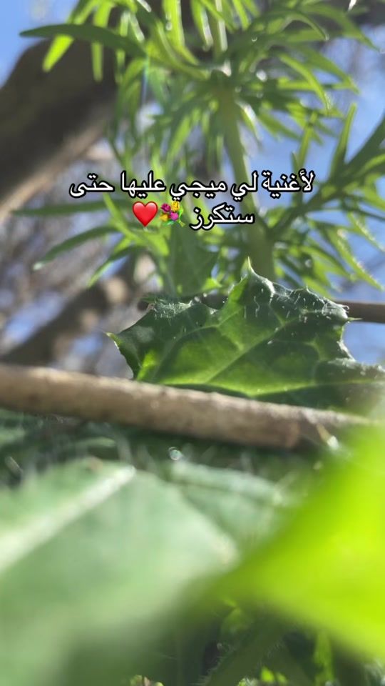 TikTok video thumbnail by wassim_sid3