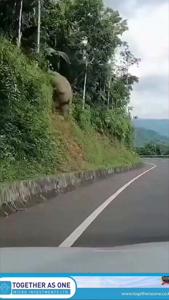 TikTok video thumbnail by mwirutv