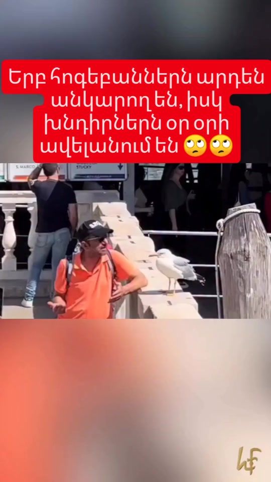 TikTok video thumbnail by for_you_805