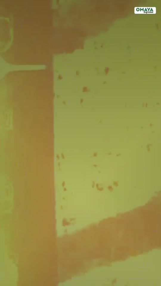 TikTok video thumbnail by omayaexchange