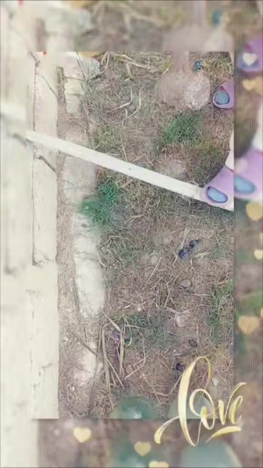 TikTok video thumbnail by jasmin_018.018