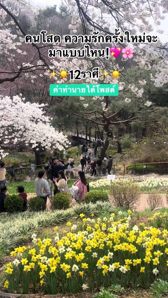 TikTok video thumbnail by belleminwoo2020