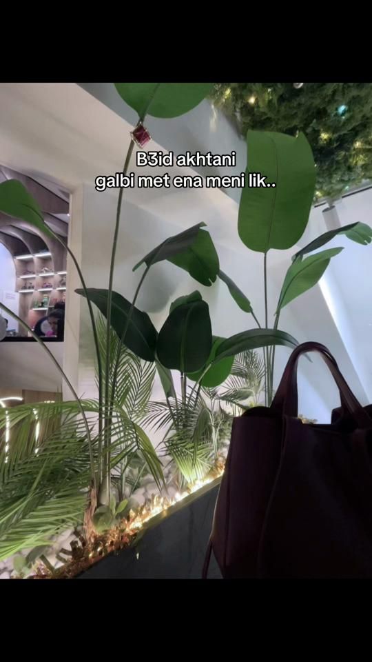 TikTok video thumbnail by faraah__farhat