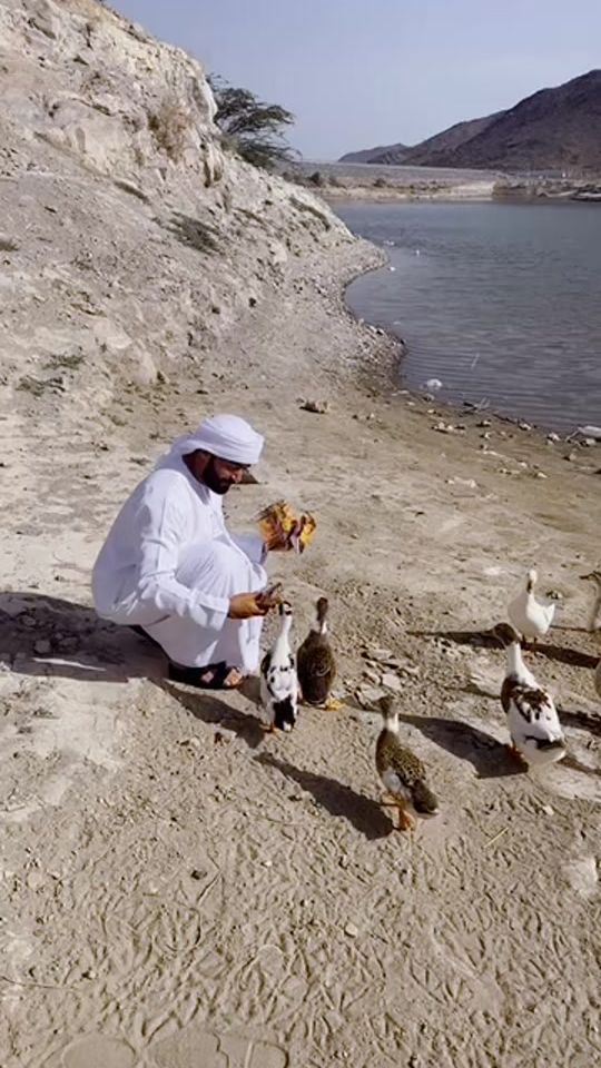 TikTok video thumbnail by gantel.ad