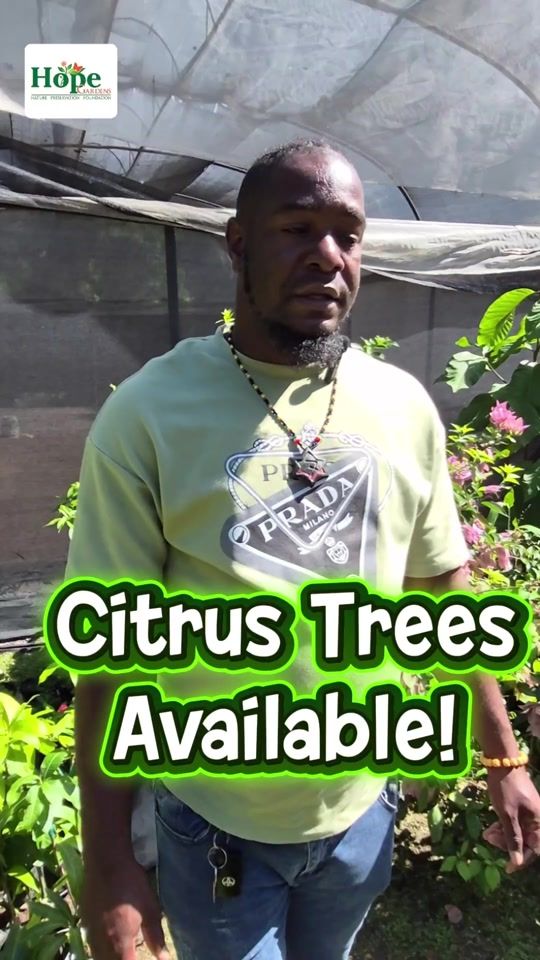 TikTok video thumbnail by hopegardensja