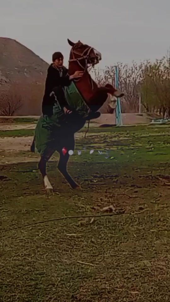 TikTok video thumbnail by husayinjon_7