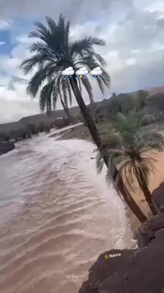 TikTok video thumbnail by souhanii1