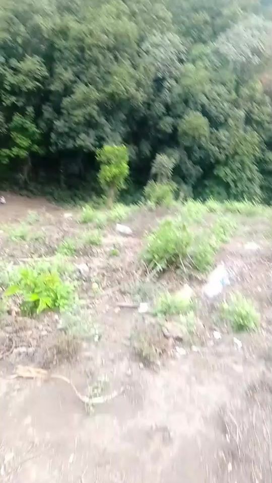 TikTok video thumbnail by florescheny020