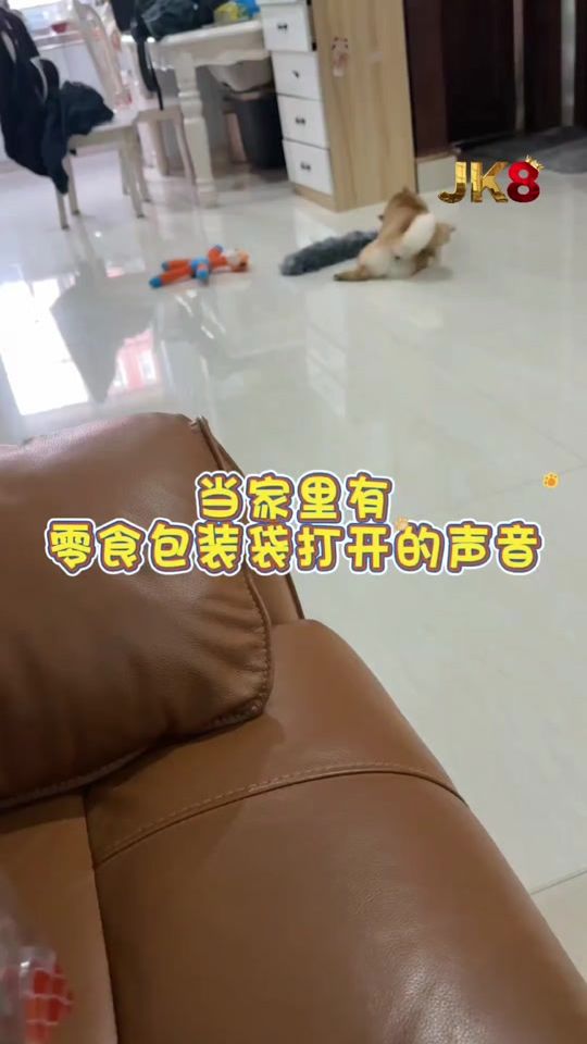 TikTok video thumbnail by cliffordng93