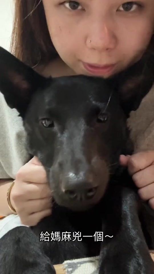 TikTok video thumbnail by pd_0115