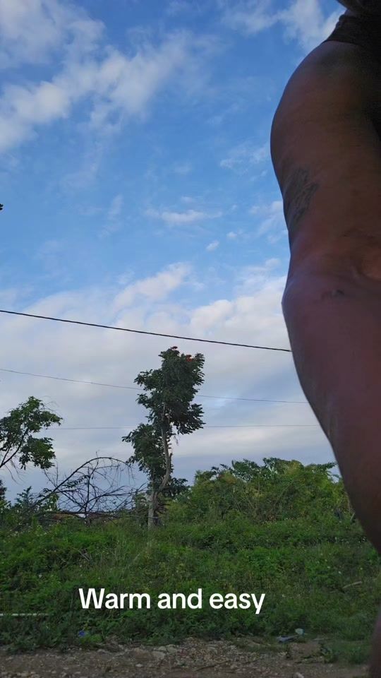 TikTok video thumbnail by suzanbarnett