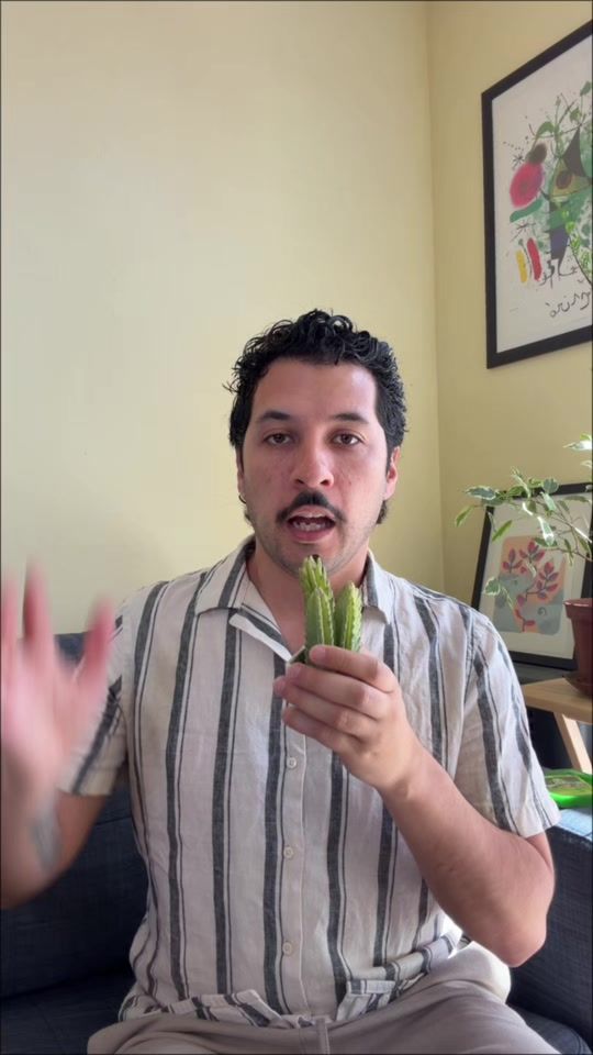 TikTok video thumbnail by juanceafernandez