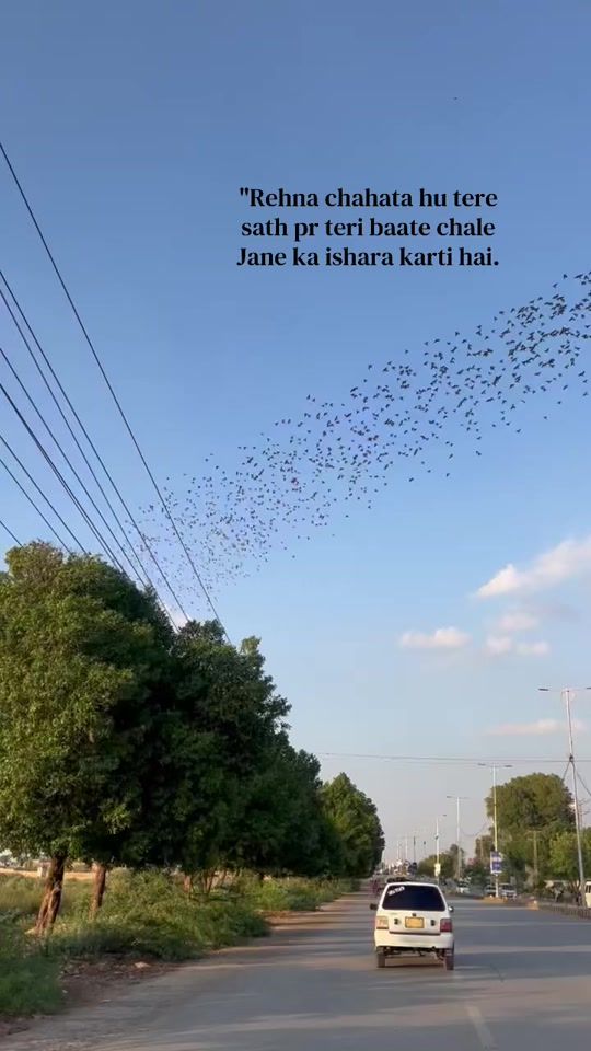 TikTok video thumbnail by alii_shaikh0