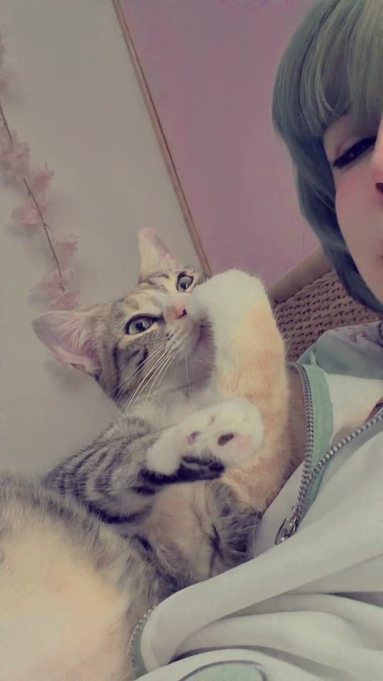 TikTok video thumbnail by elpanquesito_salvaje