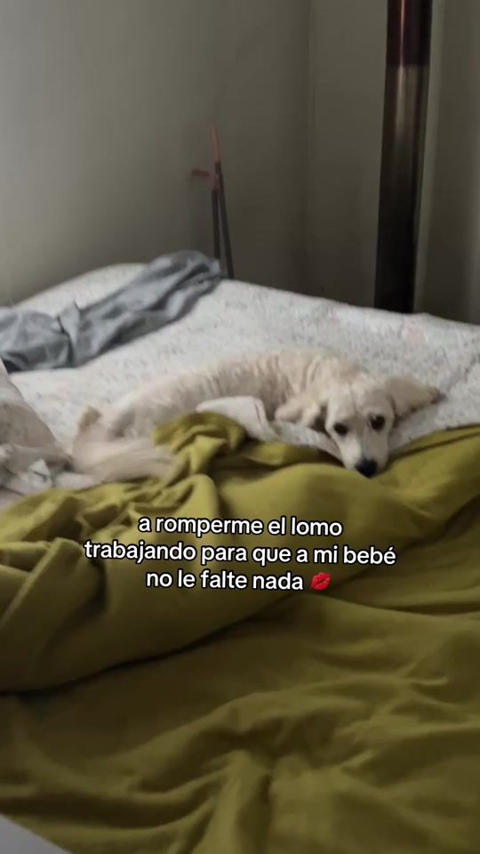 TikTok video thumbnail by nhaicastillo