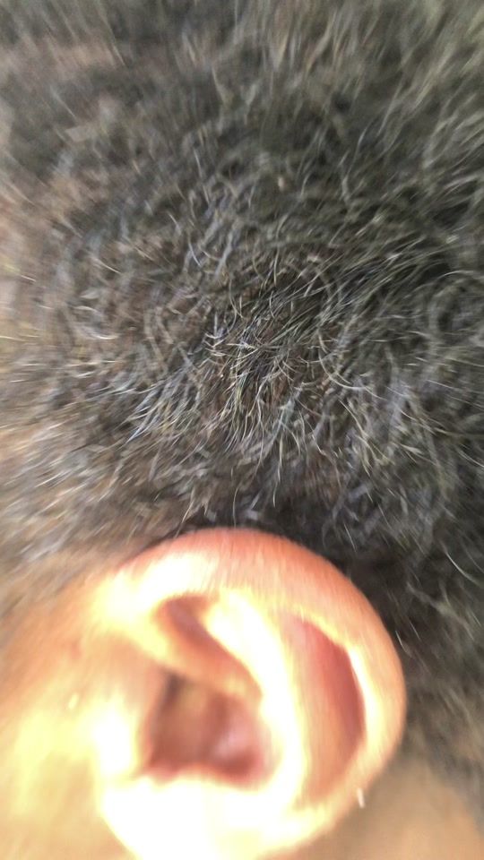 TikTok video thumbnail by iyoh_ju