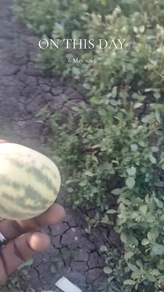 TikTok video thumbnail by gal_ahmat