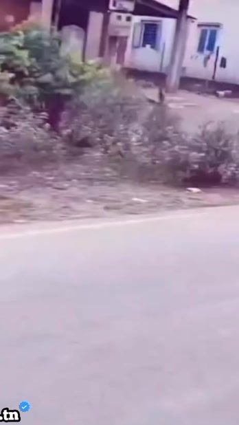 TikTok video thumbnail by zouaa_memes