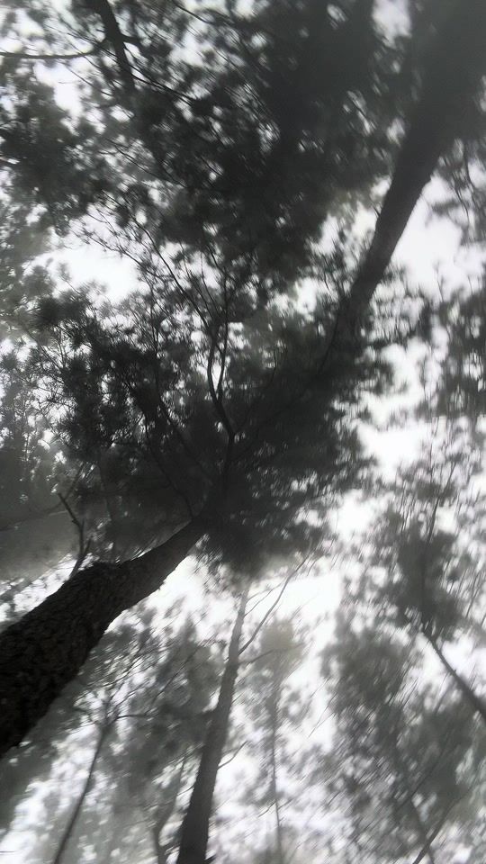 TikTok video thumbnail by its_me_solo_gladiator