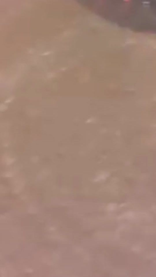TikTok video thumbnail by poenanie8