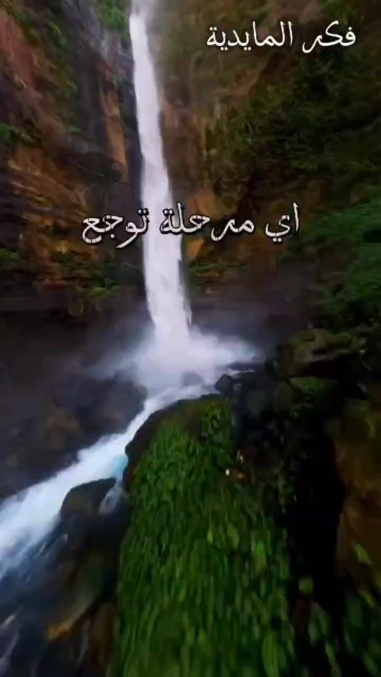 TikTok video thumbnail by almayidiya