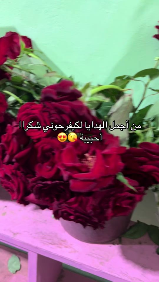 TikTok video thumbnail by stylezewin