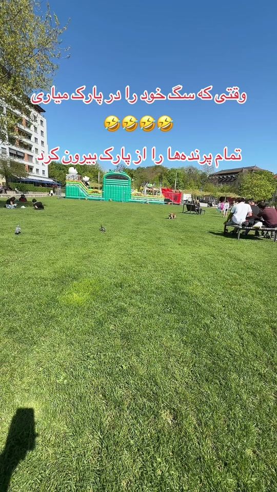 TikTok video thumbnail by user5695800215741