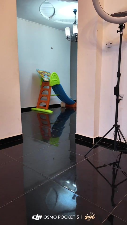 TikTok video thumbnail by enzo_diva