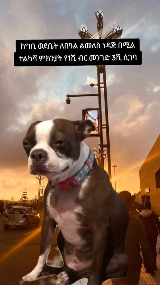 TikTok video thumbnail by nati_meme7