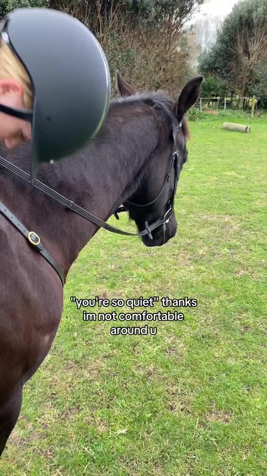 TikTok video thumbnail by ebequine_