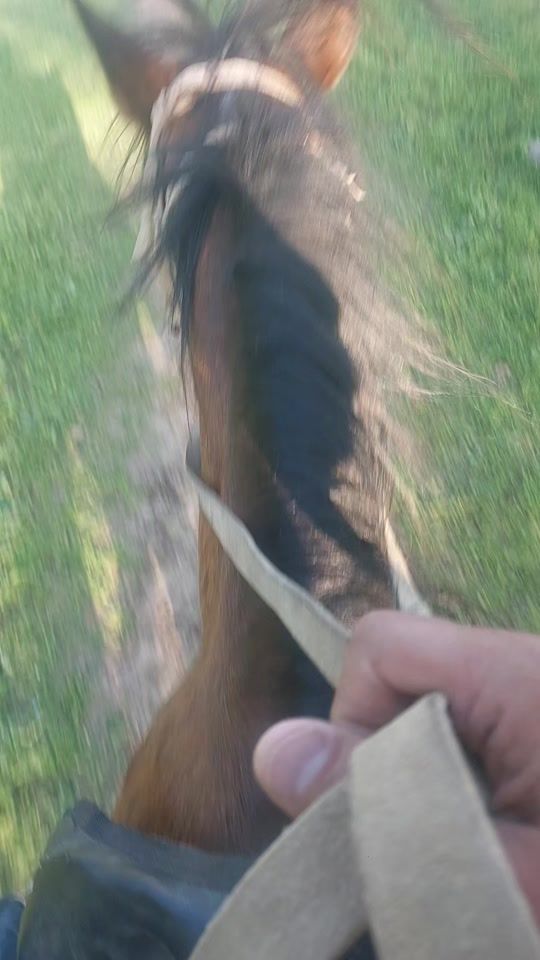 TikTok video thumbnail by eldarimanov75