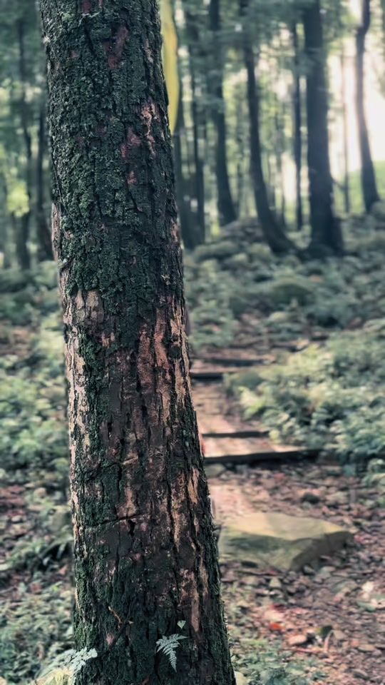 TikTok video thumbnail by chezceem7