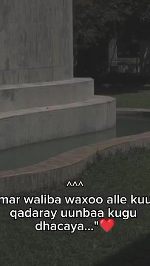 TikTok video thumbnail by writter__leo